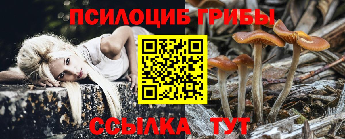 Псилоцибиновые грибы GOLDEN TEACHER Воткинск