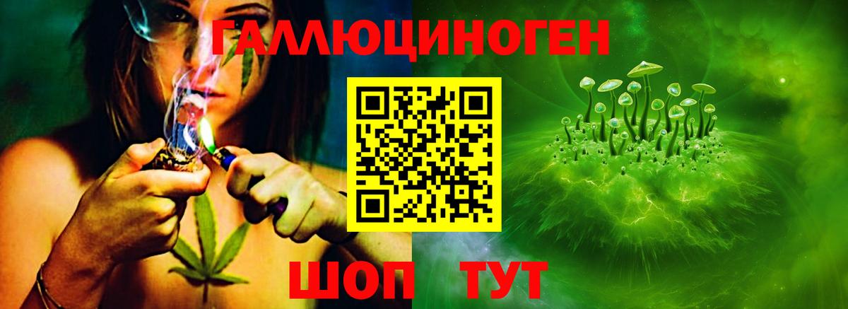 Воткинск  где найти   Вход с VPN  Псилоцибиновые грибы Psilocybine cubensis  Псилоцибиновые грибы мухоморы 